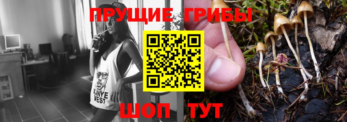 Псилоцибиновые грибы мицелий  Вход с VPN  Прокопьевск 