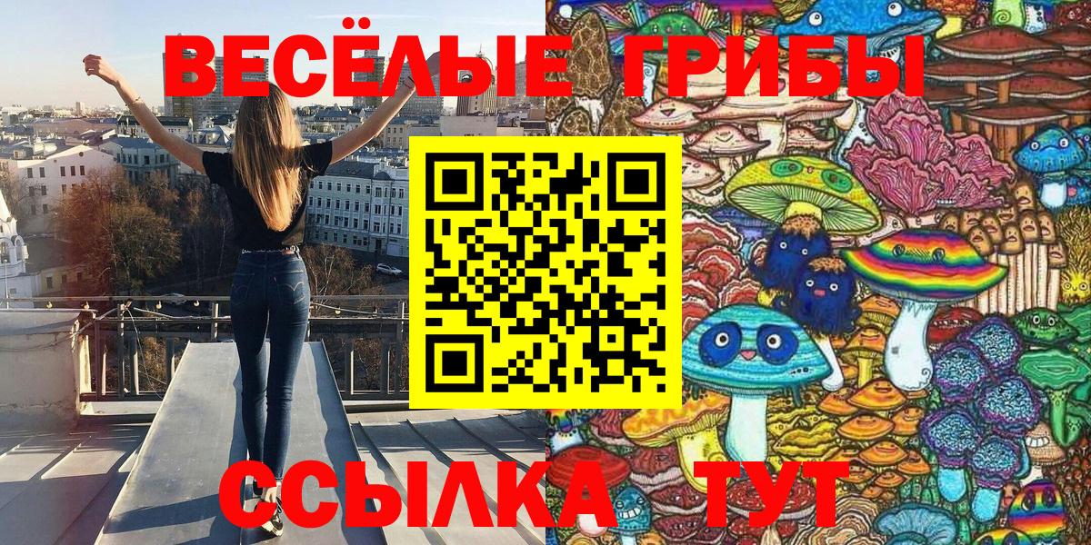 Галлюциногенные грибы прущие грибы Прокопьевск